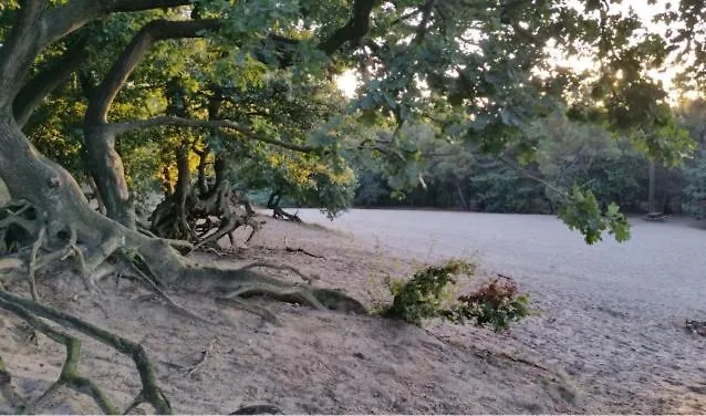 Hotell Udens Duyn 4*