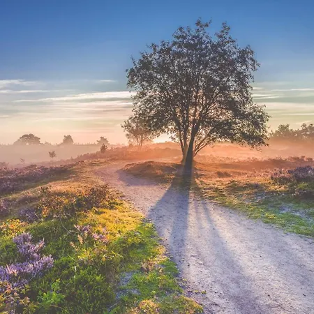 Hotel Udens Duyn Uden