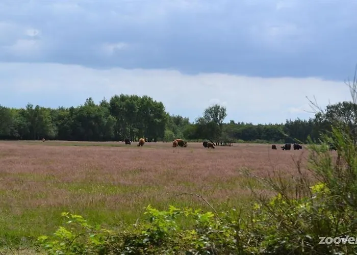 Udens Duyn Ξενοδοχείο